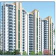 Residential Apartment for Rent in the Close North, Sector-50 Gurgaon 3bhk Rent Sector 50 Gurgaon