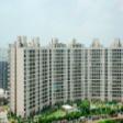 963 Sq.ft. Service Apartment Available for Rent in Central Park-2, Gurgaon 1 Bhk Apartment Rent Sohna Road Gurgaon