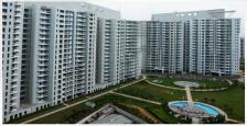 4 Bhk Luxurious Apartment on Lease In DLF The ICON