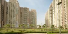 3 Bhk Luxurious Apartment Available On Rent In DLF park Place