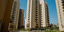 3900 Semi Furnished 4 Bhk Apartment For Rent in Palm Springs, Golf Course Road, Gurgaon