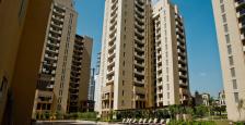 4200 sqft Semi Furnished 4 Bed Room Apartment Available for Rent in Emaar The Palm Springs Golf Course Road Gurgaon.