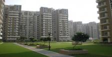  3 Bed Rooms Semi Furnished Apartment for Rent in Orchid Petals Sector 49, Sohna Road,  Gurgaon.