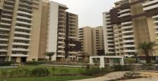 Attractive Deal Semi Furnished Apartment for Rent In TDI Ourania, Golf Course Raod, Gurgaon