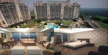 Semi Furnished Penthouse For Sale in DLF Magnolias, Golf Course Road Gurgaon