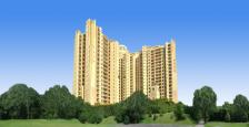 Available Residental Property For Lease In DLF The Summit  , Gurgaon 