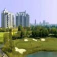 DLF magnolias golf course road  5 + 1 BHK   Rent Golf Course Road Gurgaon