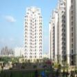 Orchid Petals 4bhk  Rent Sector 49 Gurgaon