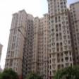 Residential Apartment 2 Bhk  Rent DLF Phase IV Gurgaon