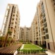 Residential Apartment 3 Bhk  Rent Sector 50 Gurgaon