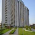 3500 Sq.Ft. Luxurious Apartment Available For Rent In DLF The Belair 4 Bhk  Rent DLF Phase V Gurgaon