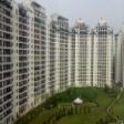 Apartment For Rent in  Central Park 2 Belgravia , Sector � 48, Gurgaon 2 Bed Rooms  Apartment Rent Sector 48 Gurgaon