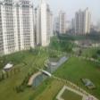 Apartment For Rent in  Central Park 2 Belgravia , Sector � 48, Gurgaon 2 Bed Rooms  Apartment Rent Sector 48 Gurgaon
