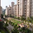 Semi Furnished 3300 Sqft Residential Apartment  Space For Sale In Beverly Park 2 DLF City Phase 2 Gurgaon 4 BHK  Sale DLF PHASE II Gurgaon