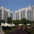 4BHK Semi Furnished apartments available on Rent In DLF Aralias Sector 54 Golf Course Road, Gurgaon 4BHK Apartment Rent Sector 42 Gurgaon