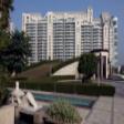 4BHK Semi Furnished apartments available on Rent In DLF Aralias Sector 54 Golf Course Road, Gurgaon 4BHK Apartment Rent Sector 42 Gurgaon
