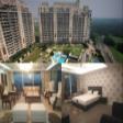 Semi Furnished Penthouse For Sale in DLF Magnolias, Golf Course Road Gurgaon 4 Bhk Apartment Sale Golf Course Road Gurgaon