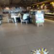 Property avialable For Sale   Commercial Land Plot Sale Janak Puri  West Delhi