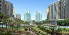 Residential Apartment for Rent in Central Park 1, Sector-42 Gurgaon