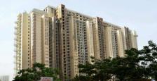 5 Bhk Luxurious Apartment On Lease In DLF Magnolias